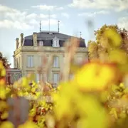 Demi-journée à Pomerol et Saint Emilion en voiture de collection