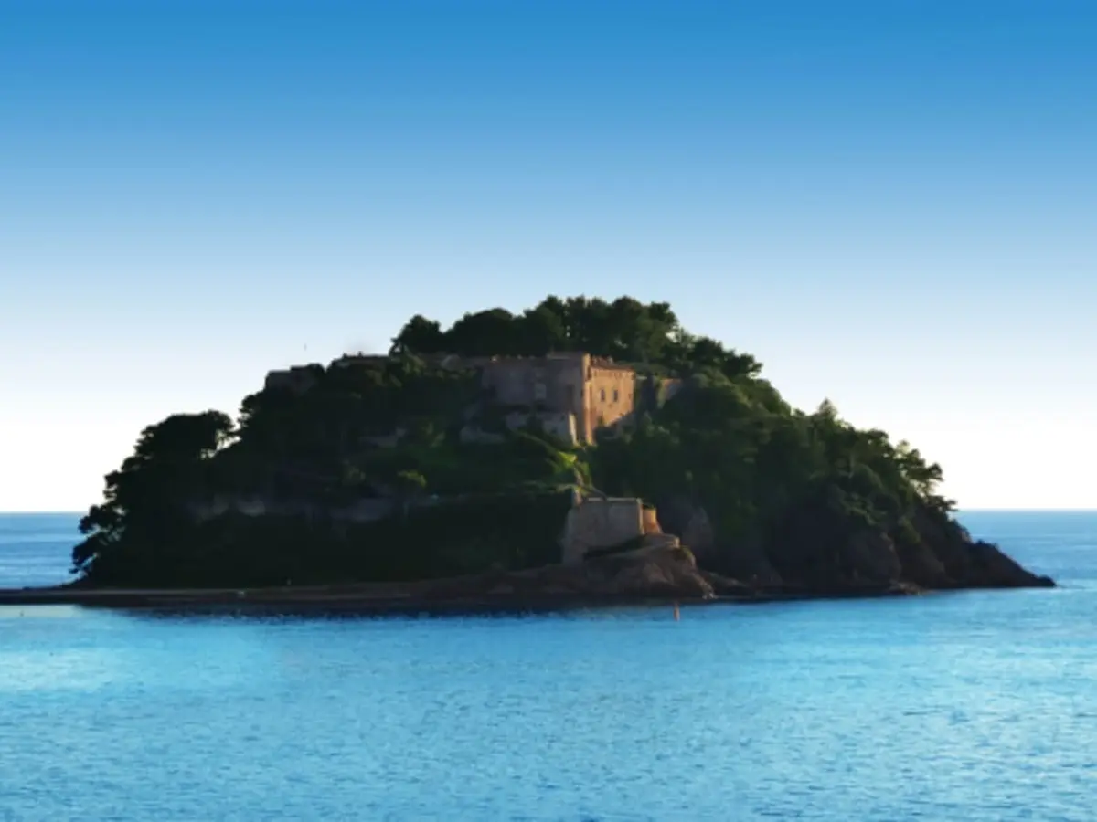Demi-journée croisière en catamaran au départ de Hyères (83)