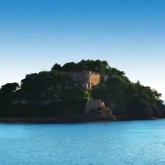 Demi-journée croisière en catamaran au départ de Hyères (83)