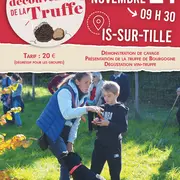 Demi-journée découverte de la truffe de Bourgogne