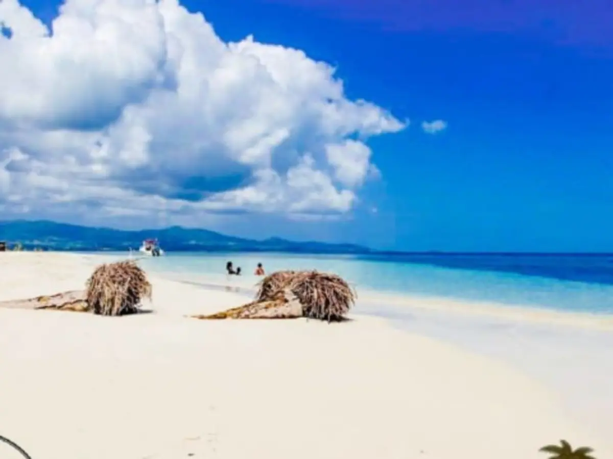 Demi-journée découverte des merveilles de la Guadeloupe