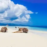 Demi-journée découverte des merveilles de la Guadeloupe