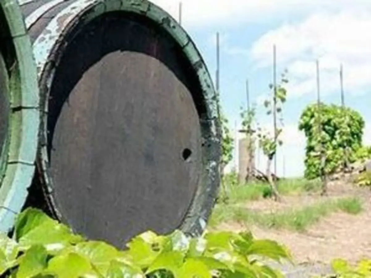 Demi-journée Escapade vigneronne depuis Lyon (69)