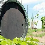 Demi-journée Escapade vigneronne depuis Lyon (69)