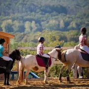 Demi-journée immersion avec un cheval