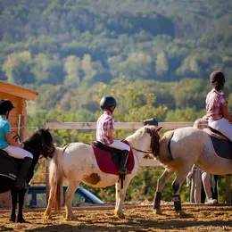 Demi-journée immersion avec un cheval