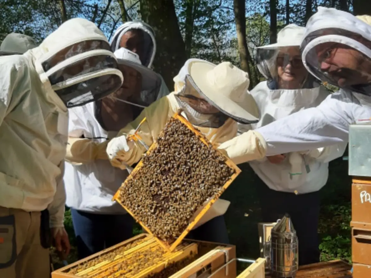 Demi-journée initiation à l'apiculture à Chaume-en-Brie (77)