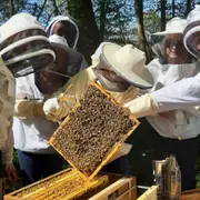 Demi-journée initiation à l'apiculture à Chaume-en-Brie (77)