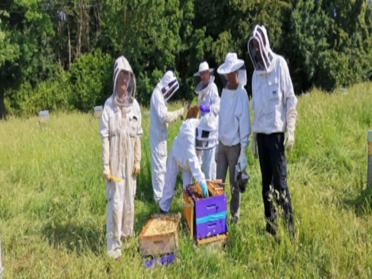 Demi-journée initiation à l'apiculture à Guigneville-sur-Essonne