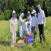 Demi-journée initiation à l'apiculture à Guigneville-sur-Essonne