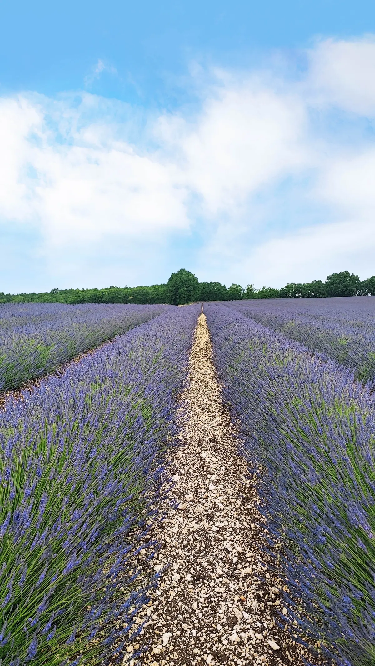 Démonstration de fabrication de savon au Mas de l’essentiel