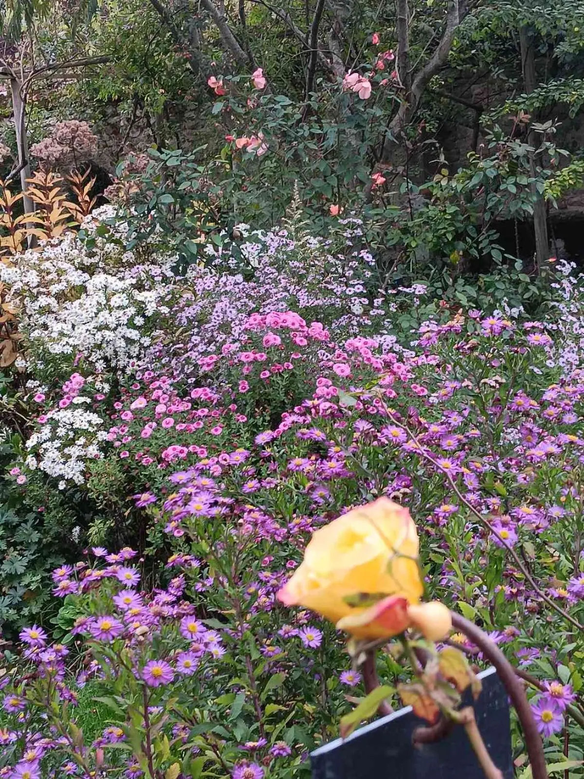 Démonstration de filage du verre  au jardin personnel d'André Eve