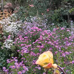Démonstration de filage du verre  au jardin personnel d'André Eve