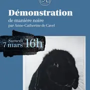 Démonstration de manière noire