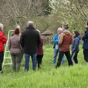 Démonstration taille et greffe au verger de l'Ecomusée du Montmorillonnais, site de Juillé avec l'association des Croqueurs de Pommes