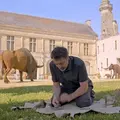 Démonstrations Faire du feu comme à la Préhistoire