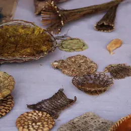 Démonstrations : Vannerie sauvage et travail des fibres