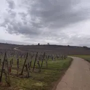 Découverte de la colline du Bollenberg