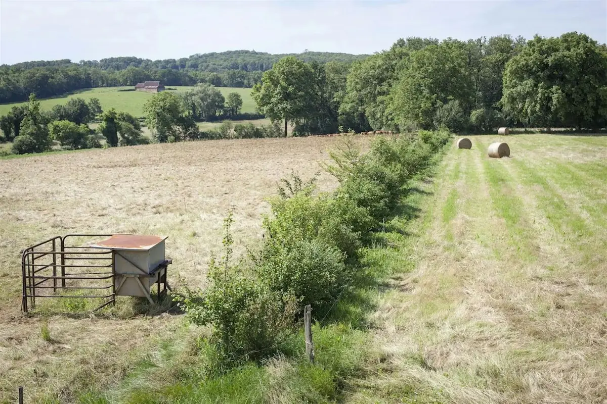 Des arbres et des champs, agroforesterie, table ronde à Assier