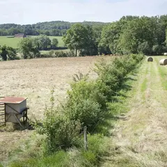 Des arbres et des champs, agroforesterie, table ronde à Assier