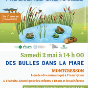 Des bulles dans la mare