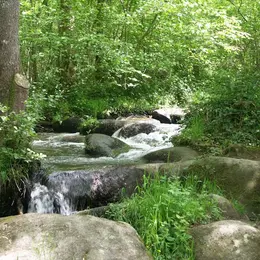 Des cascades pleines de vie