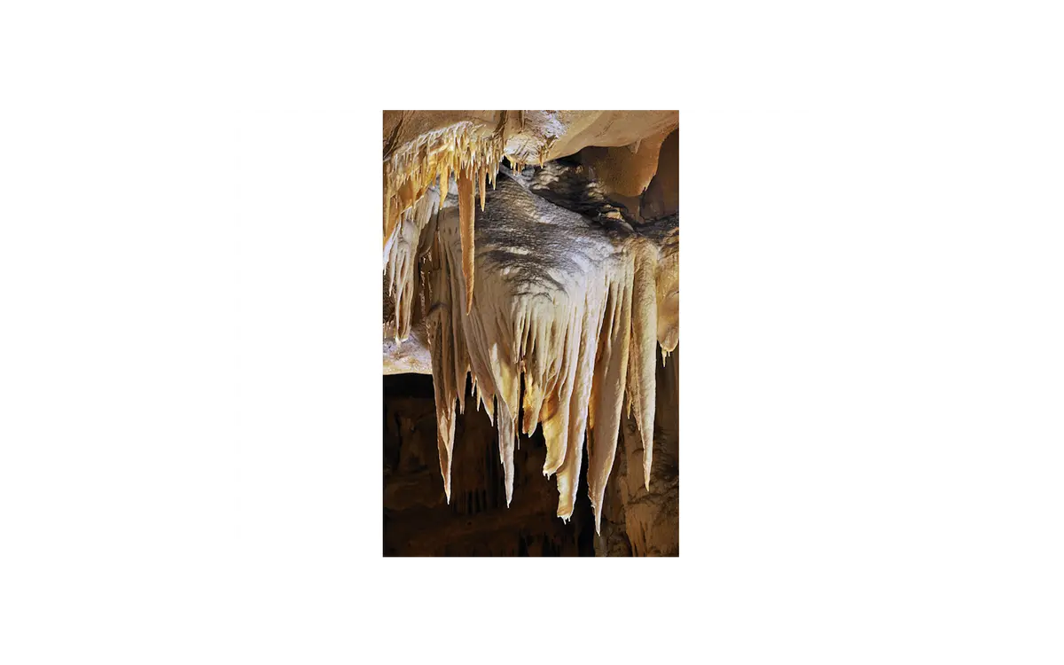 Des Chauves-souris aux grottes d'Oxocelhaya