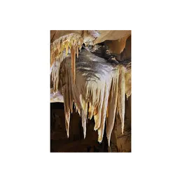 Des Chauves-souris aux grottes d'Oxocelhaya