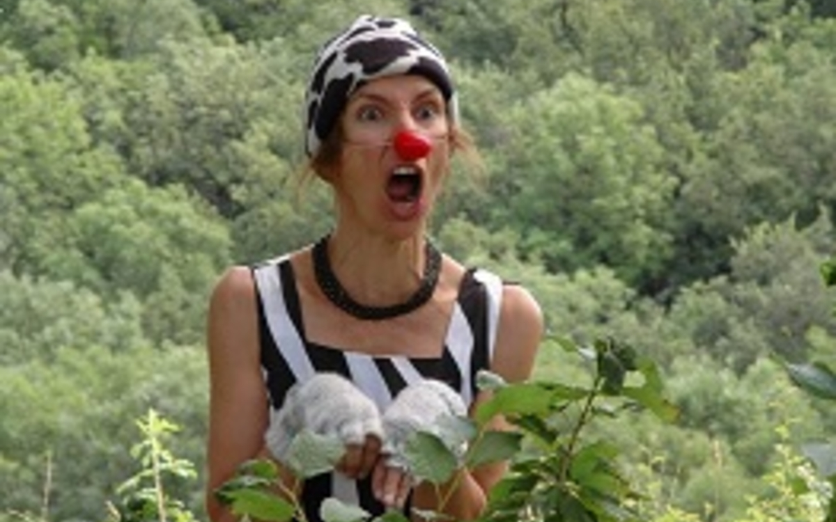 Des clowns amateurs investissent le kiosque Yvette Chauviré