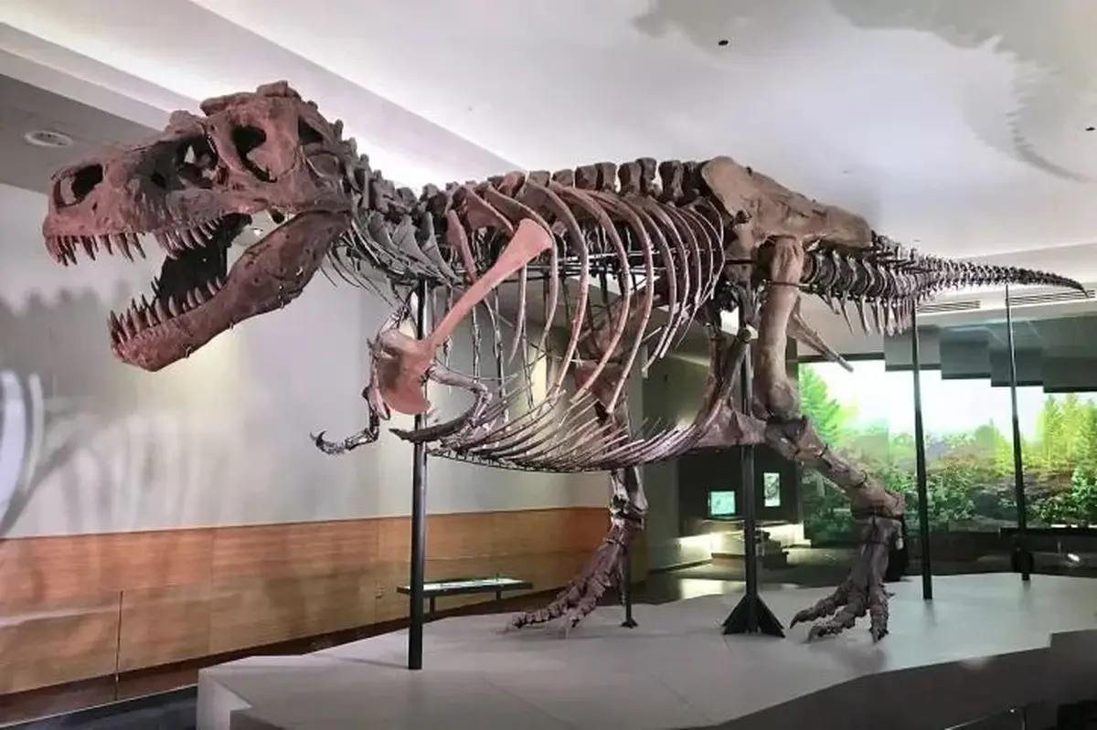 Des dinosaures de 15 mètres vont débarquer à Nantes dans une exposition exceptionnelle