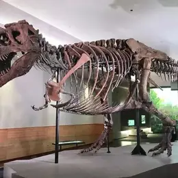 Des dinosaures de 15 mètres vont débarquer à Nantes dans une exposition exceptionnelle