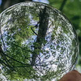 Des exemples inspirants de développement durable - discussion