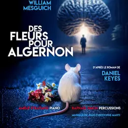 Des Fleurs pour Algernon