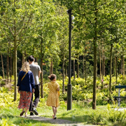 Des forêts urbaines à Paris