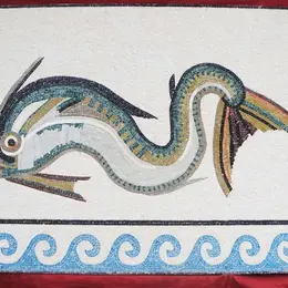Des histoires de dauphins