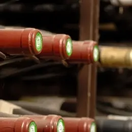 Des idées de vins à mettre en cave