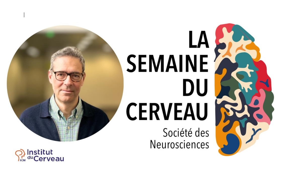 Des livres aux synapses : neurosciences de la lecture