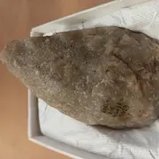 Des Objets Archeologiques Sortent Des Reserves Archeologiques A Tautavel