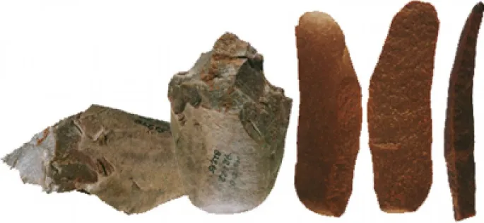 Des outils datant du Paléolithique moyen trouvés à Mutzig