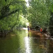 Des petites bêtes en vois-tu ? En voilà !