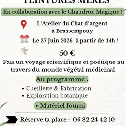 Des plantes sauvages aux teintures mères