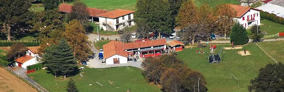 Des troupeaux et des chiros