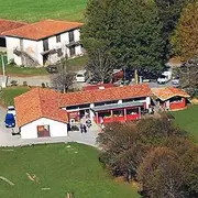 Des troupeaux et des chiros