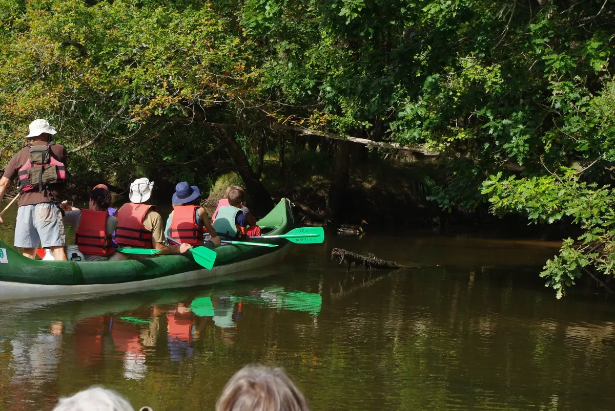 Descente de la Leyre en canoë collectif entre Salles et Mios