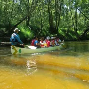 Descente de la Leyre en canoë collectif, le C10