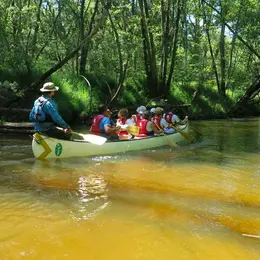 Descente de la Leyre en canoë collectif, le C10