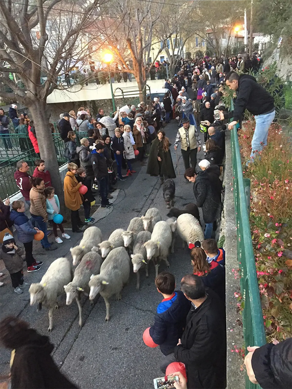 Descente des bergers