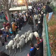 Descente des bergers