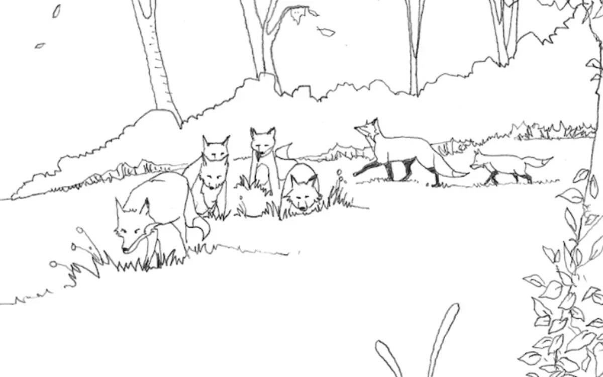 Dessine les animaux sauvages de Paris avec le Renard du Père Lachaise