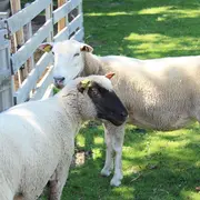 On a visité pour vous le Parc du Petit Prince